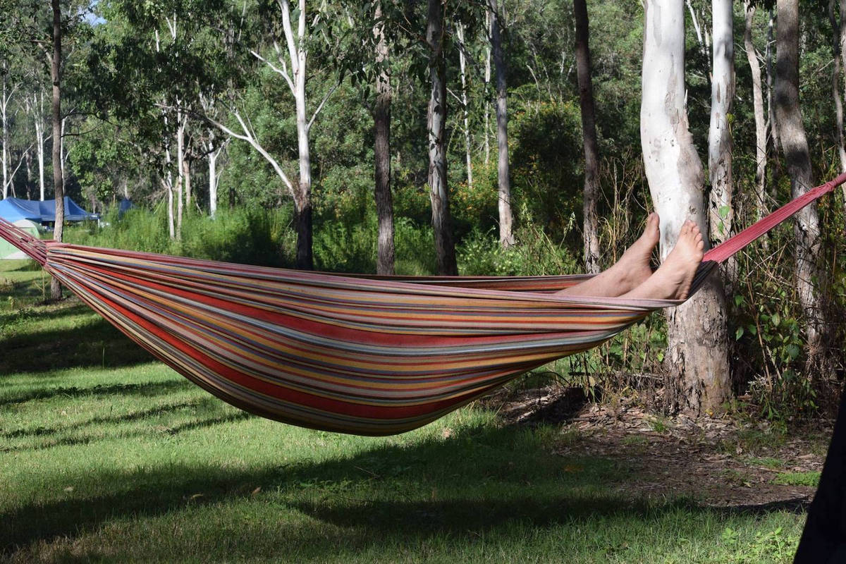 A hammock suspended between trees in a quiet grassy clearing at Banks Creek Retreat.