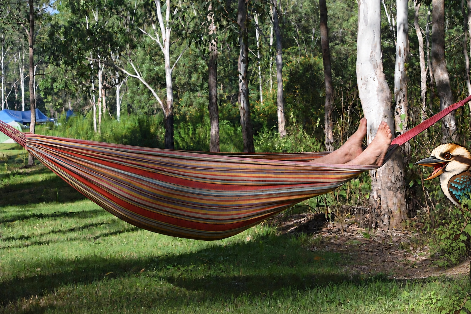 A hammock at Banks Creek Retreat, with a small illustrated kookaburra peeking in from the right.